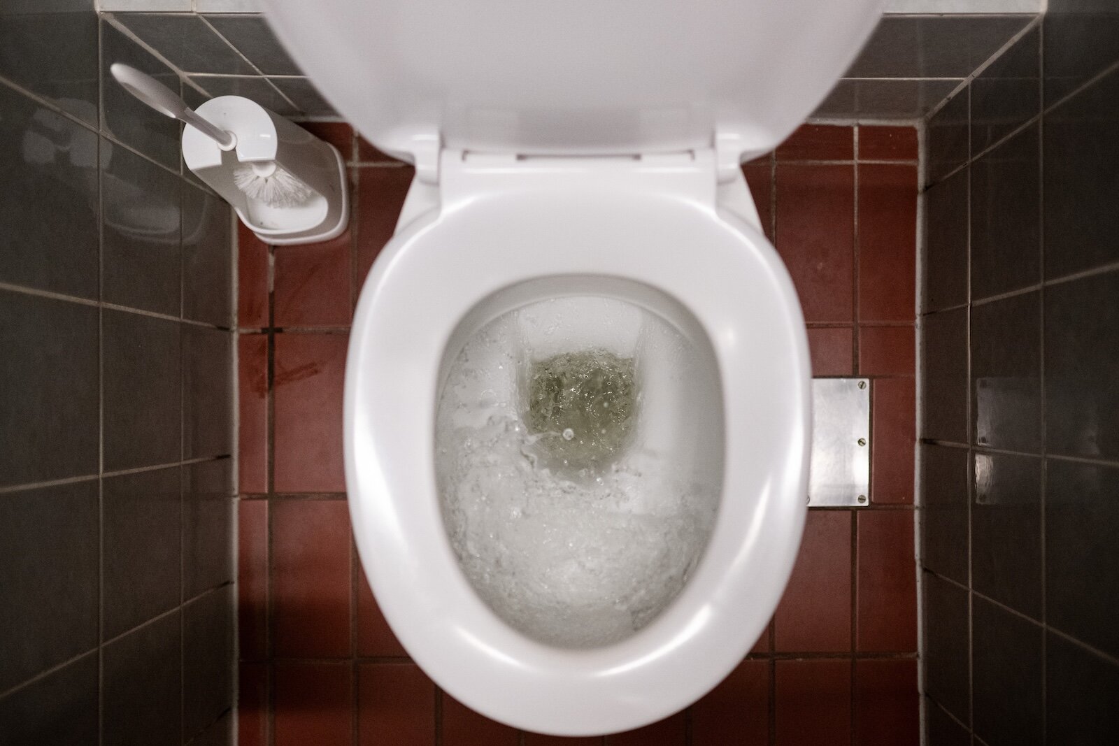 4 things to know about cyclospora and climate change