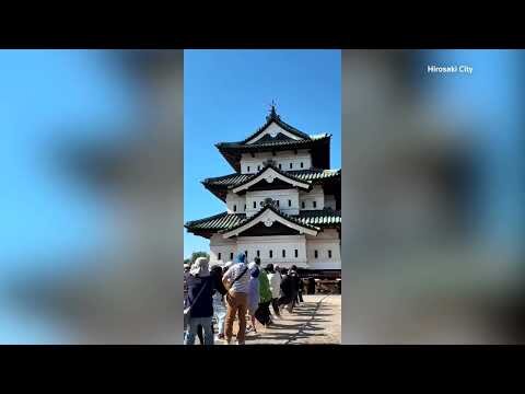Crowds haul 400-ton Japanese castle by hand after repairs