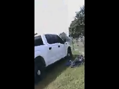 Texas police save man from swarm of bees