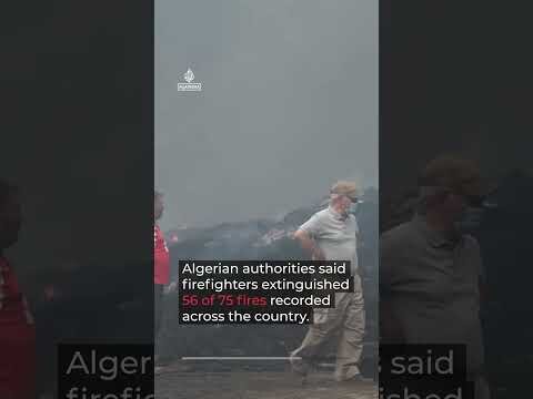Heatwave drives major wildfires across North Africa