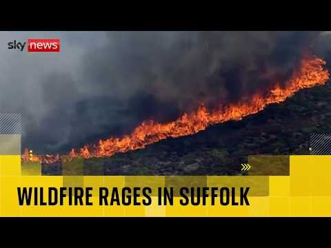 Major incident declared as wildfire rages in Suffolk