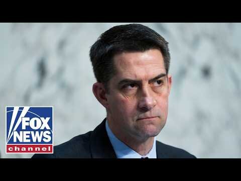 DIVIDE AND INFLAME’: Sen Cotton WARNS of foreign ‘enemies’ allegedly funding radical groups