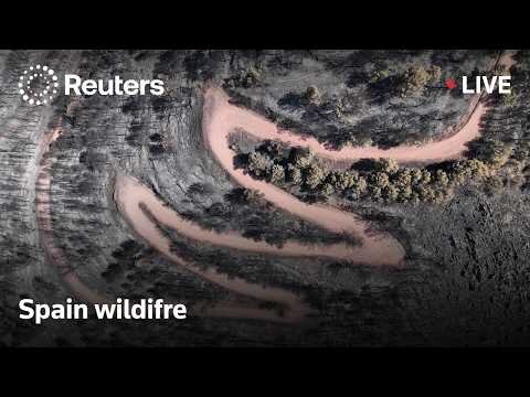 Castellon wildfire in eastern Spain