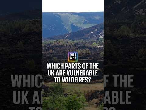 Which parts of the UK are vulnerable to wildfires?