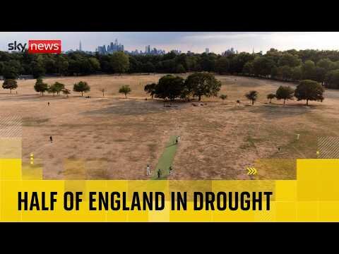 Half of England in drought, Environment Agency says