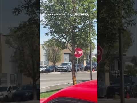 NEW: Video shows gunman opening fire outside an Idaho In-N-Out Burger #shorts #news #foxnews #fox