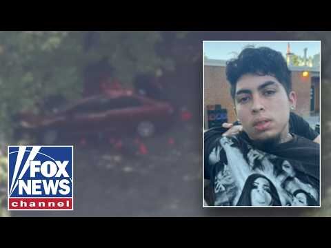 DISTURBING DETAILS: Illegal immigrant confesses to murdering Virginia mother, authorities say