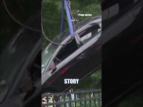 Driver PLUNGES into neighbor's pool #shorts #us #news #viral