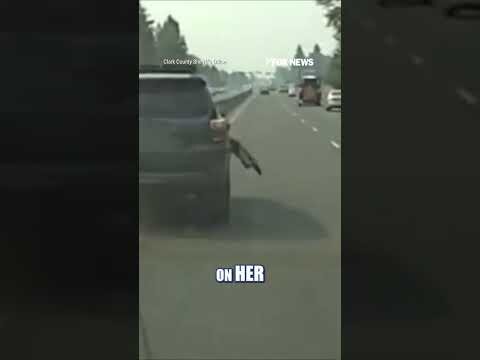 Deputies deploy Grappler to END high-speed chase #shorts