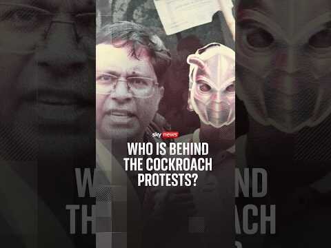 Who are the people behind India's cockroaches’ protests?