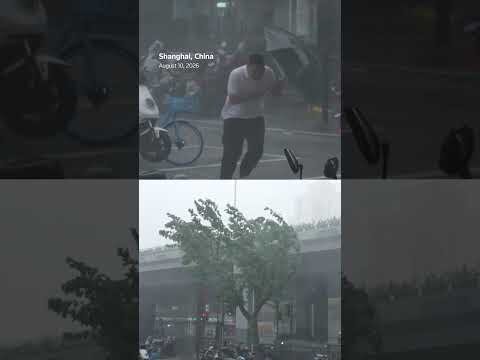 Typhoon Dolphin makes landfall in China