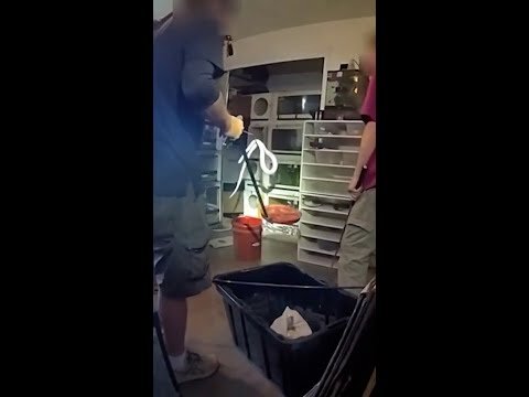 Authorities find dozens of snakes in New Mexico home
