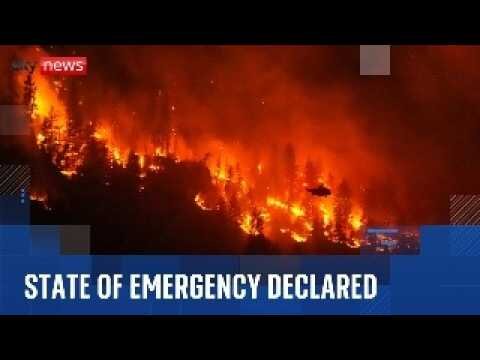 Thousands evacuated as huge wildfire spreads in Canada