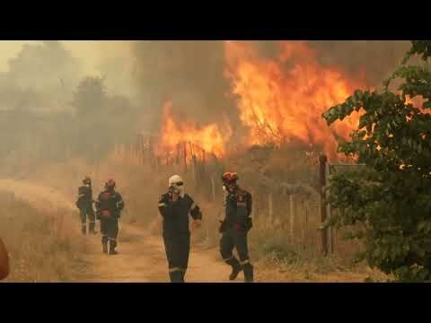 Greece battles wildfires, drought shuts Hungary's nuclear power plant