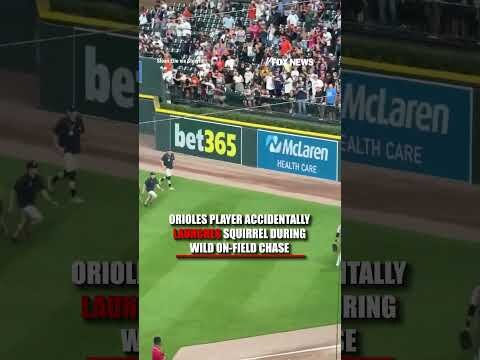 Squirrel goes AIRBORNE in WILD MLB CHASE #foxnews #news #us #fox