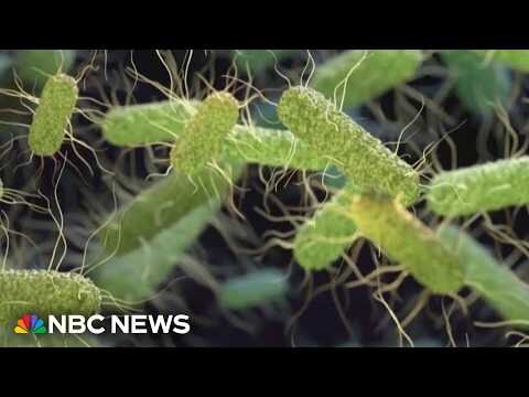 Salmonella outbreak expands to 27 states