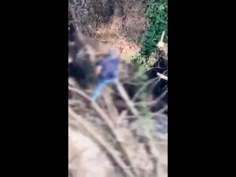 Man arrested after allegedly starting a forest fire in Italy