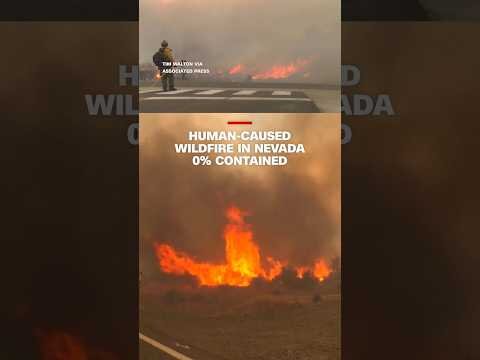 Human-caused wildfire in Nevada 0% contained