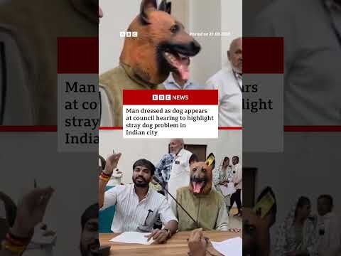Man dressed as dog appears at Indian council hearing. #India #Dogs #BBCNews