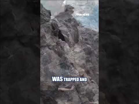 Officials save BASE jumper stranded on CLIFF #foxnews #news #us #fox
