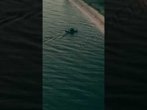 Ukraine makes first known robotic amphibious landing