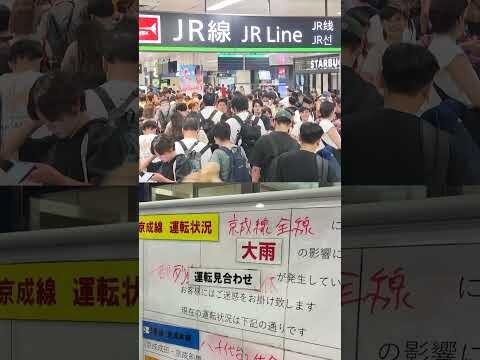 Record rainfall floods Japan's Chiba