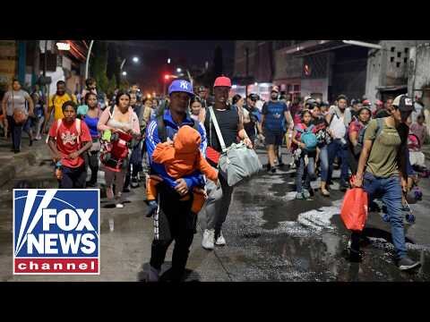 Mass migration crisis sparks BOLD warning from lawmaker