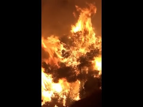 Firefighters battle major wildfire in Castellón, Spain