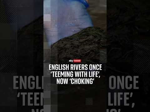 English rivers once 'teeming with life', now choking