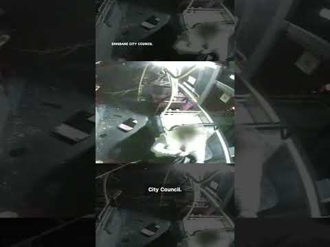 Swerving car flies into bus in Australia