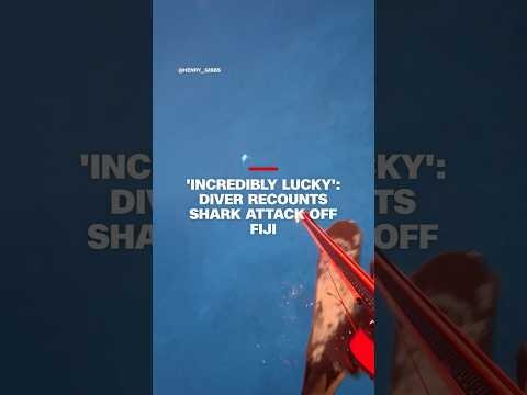 Incredibly lucky': diver recounts shark attack off Fiji