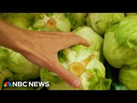 First deaths from lettuce-linked outbreak