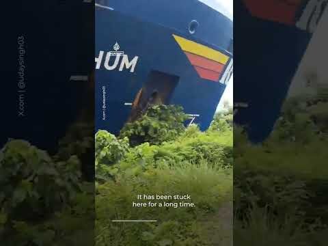 Singapore-flagged container ship crashes into riverbank in India