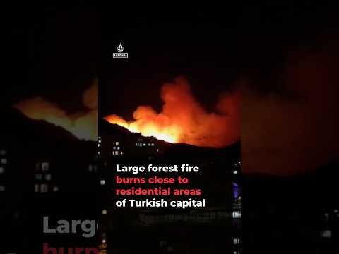 Large forest fire burns close to residential areas in Ankara