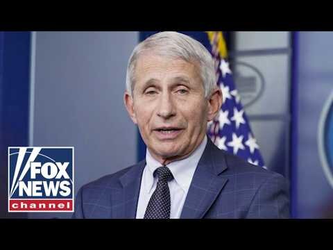 Here's why Fauci should get IMMUNITY: Paul Mauro