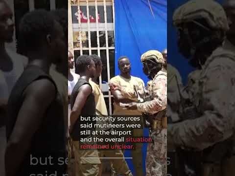 Dozens of soldiers arrested after apparent coup attempt in Niger’s capital