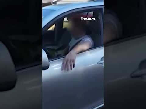Police K9 TAKES DOWN suspect #foxnews #news #us #fox
