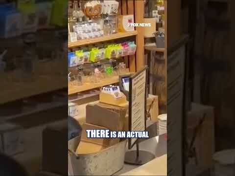 Bear CRASHES couple's anniversary getaway #shorts