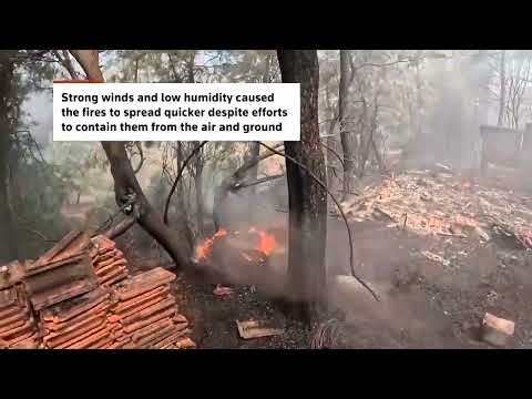 Bodycam captures Turkish firefighter battling wildfire