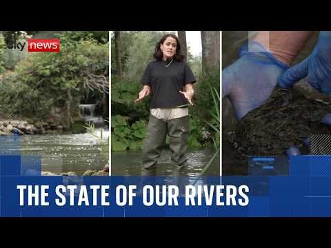 England's rivers in crisis as only 14% meet 'good' health standards