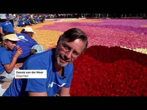 Heat-resistant blooms form Brussels flower carpet display