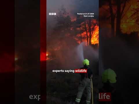 Suffolk wildfires ‘stabilising’, say firefighters. #UKNews #Wildfire #BBCNews