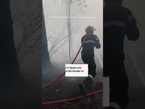 Meet the firefighters on the frontline of Europe's wildfires