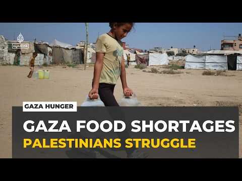 Gaza hunger crisis deepens: Palestinians struggle amid severe food shortages