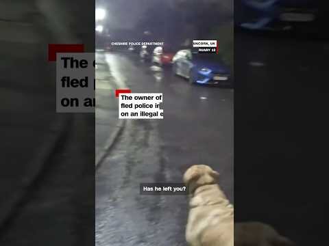 Man flees police, leaves dog behind. It backfires