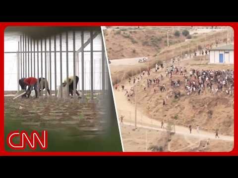 Spain’s paradox: Anti-migration vs the demand for grueling labor