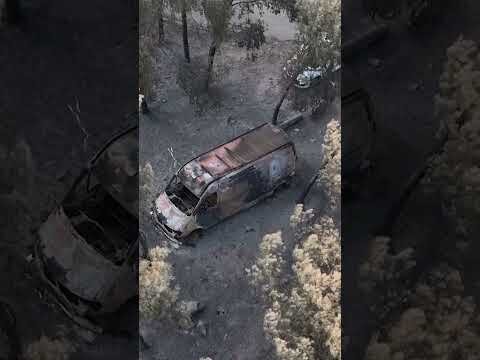 La Vilavella's charred landscape after Spain wildfires
