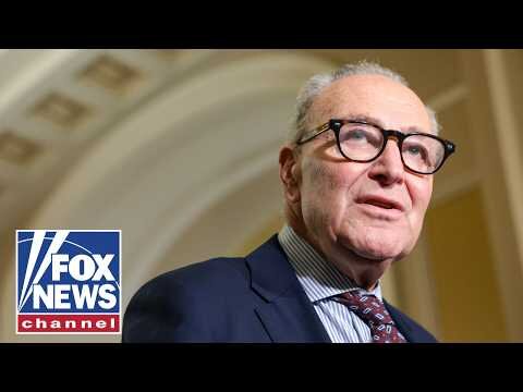 If the DSA wins, they’ll KICK OUT Schumer: David Asman