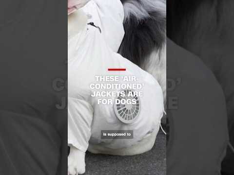 These ‘air-conditioned’ jackets are for dogs