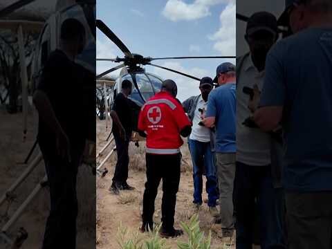 Telemundo executive killed in helicopter crash in Kenya